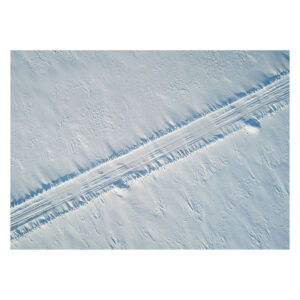 Winter Wonderland Collection - Floor