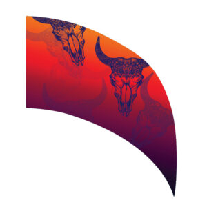 Desperado Arc Swing Flag