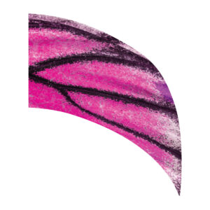 Pink Butterfly Wing Arc Swing Flag