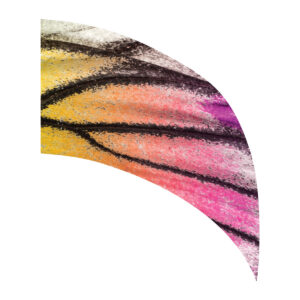 Yellow and Pink Butterfly Wing Arc Swing Flag