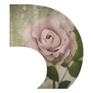 Vintage Rose C-Swing Flag