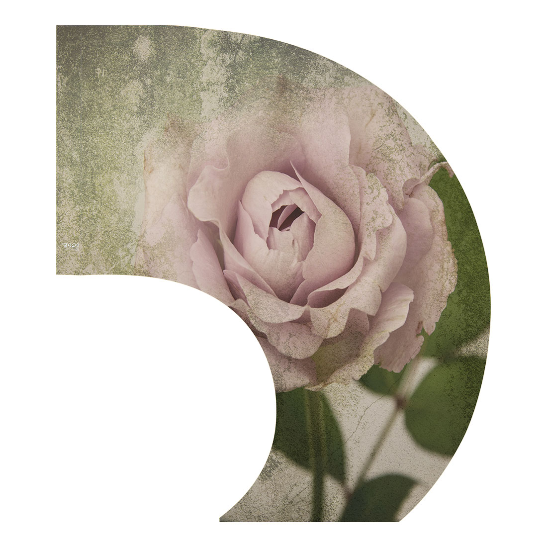 Vintage Rose C-Swing Flag