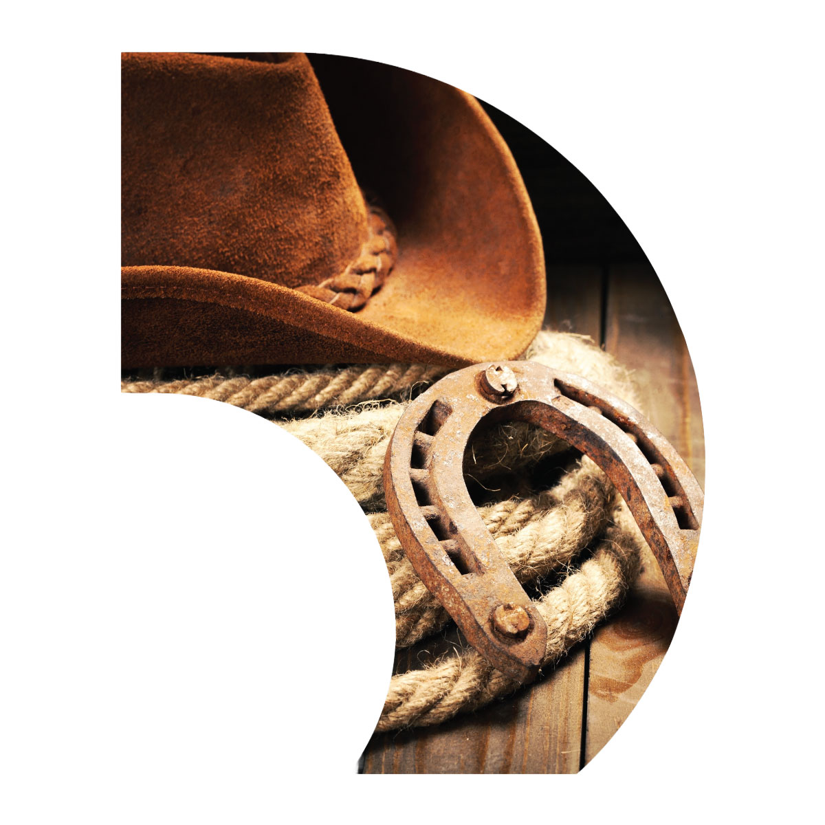 Western Wear C-Swing Flag