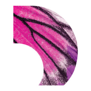 Pink Butterfly Wing C-Swing Flag