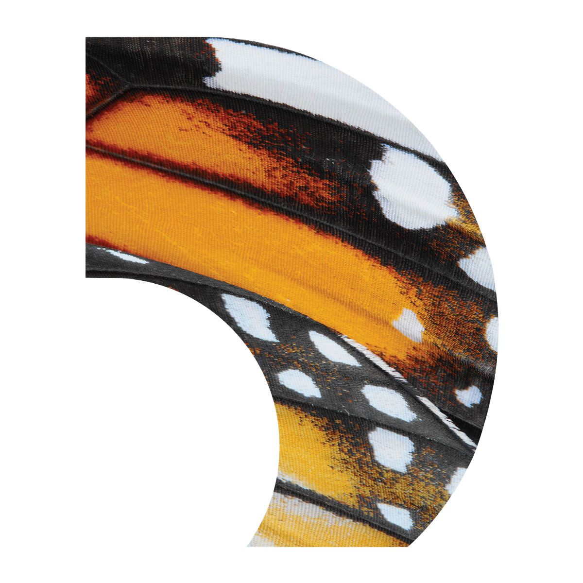 Monarch Butterfly C-Swing Flag