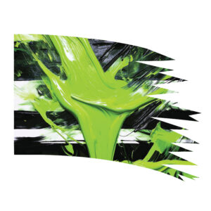 The Beetlejuice Collection - Distressed Flag