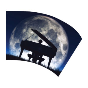 Piano Moon Rainbow Swing Flag