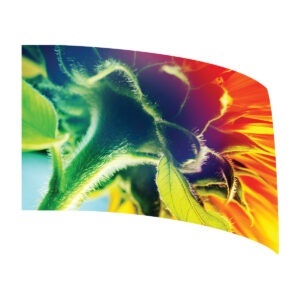 Close Up Sunflower Standard Flag