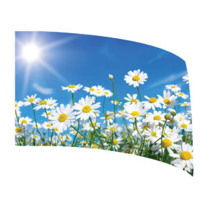 Daisies Standard Flag
