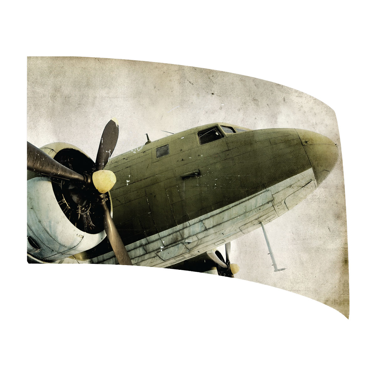 Vintage Plane Standard Flag