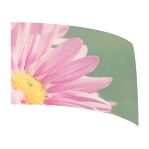 Pink Daisy Standard Flag