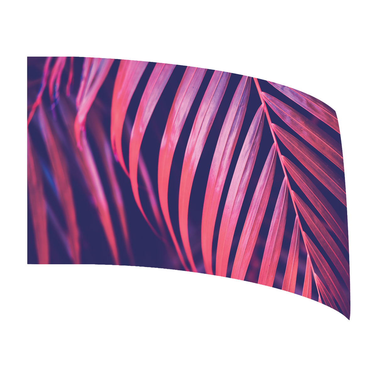 Tropical Palms Standard Flag