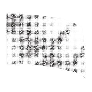 Black and White Dots Collection - Standard Flag