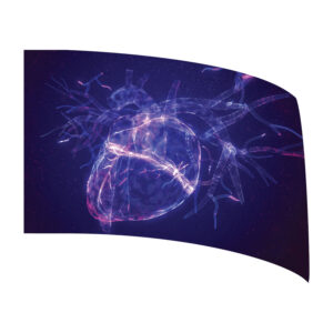 Heartbeat Collection - Brain Function Standard Flag