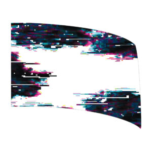 Static Collection - Black and White Static Standard Flag