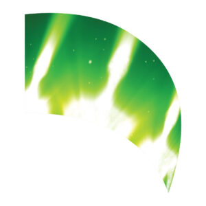 Alien Silhouette Teardrop Swing Flag