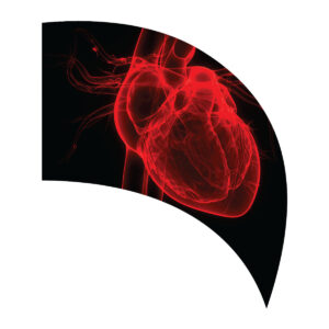 Heartbeat Collection - Heart Teardrop Flag